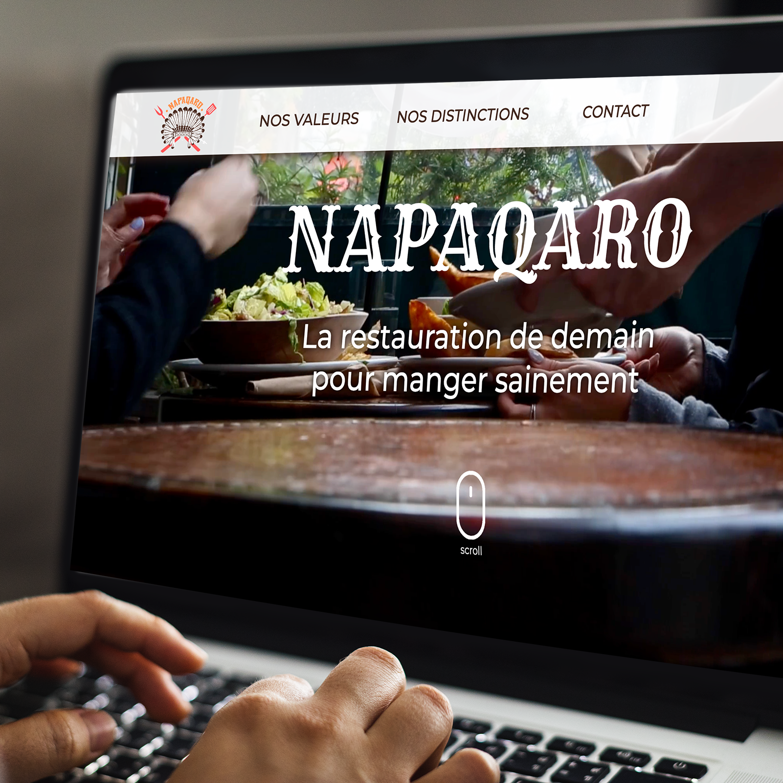 maquette site web napaqaro